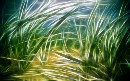 613263 (a): :1680x1050